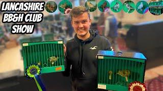 The Lancashire British Bird & Hybrid Club Show 2021