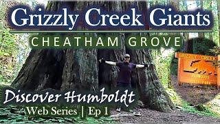 Discover Humboldt: Grizzly Creek Redwoods and Cheatham Grove, California | Ep 1