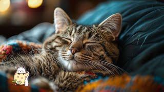 Deep Soothing Music for Cats  | Calming Sounds for Anxiety, Stress, and Illness 