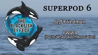 Superpod 6 - Jeff Friedman - PWWA (Pacific Whale Watch Association)