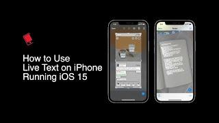 How to Use Live Text on iPhone Running iOS 15