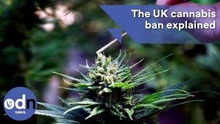The UK cannabis ban explained