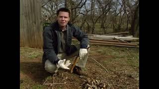 Coppice Pruning Technique