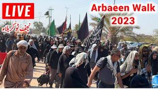 Live arbaeen walk Karbala 2023 #livestream #karbala #arbaeenwalk