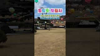  속초 영랑호에서 만나는 고즈넉한 보광사 #영랑호 #보광사 #속초여행 #강원도사찰 #힐링여행 #연꽃명소 #전통사찰 #와불상 #용연정 #칠석문화제