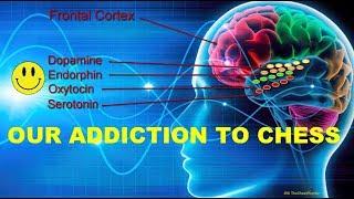Why Is Chess So Highly Addictive!