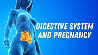 Digestive system and pregnancy #doctorberezovska #olenaberezovska #pregnancy  @DrOlenaBerezovska