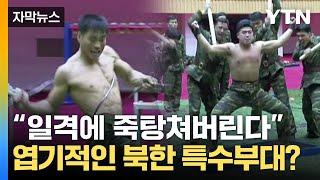 [자막뉴스] 몸에 철근 감는 '엽기적인 훈련'…북한 특수부대의 실체 / YTN