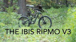 Ripmo than ever before! The Ibis Ripmo V3 - The Inside Line