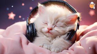 EXTRA LONG Cat Relaxation Music | Anti-Anxiety Music for Cats | Anxiety Relief in Cats | Sleepy Cat