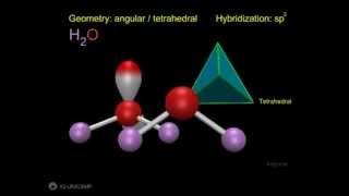 63 fast - hybridizations