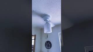 5 ceiling fans wobbling with iPhone ringtone #ceilingfan #funny #shorts #crazy