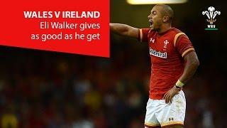 Eli Walker gives as good as he gets | WRU TV