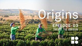 Coffee Origins Episode 3 | The Importance of Producer Relationships