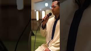هدي القرآن ينادينا 
