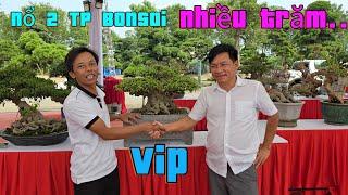 Nổ 2 Tác phẩm bonsai vip nhiều trăm triệu