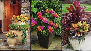 40+ unique container garden design ideas