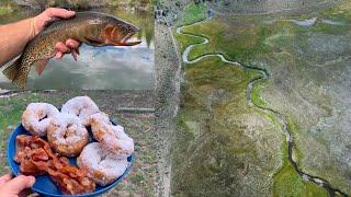 Catching Native Trout in a Mountain Stream + Delicious Campfire Breakfast!