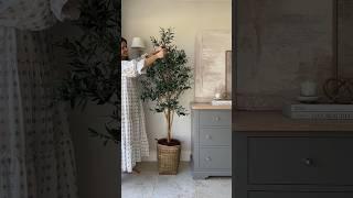 Our new Faux Olive Tree  #unboxing #unboxingvideo #fauxolivetree