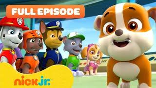 Rubble Joins the PAW Patrol and the Pups Save a Walrus! | FULL EPISODES | Nick Jr.