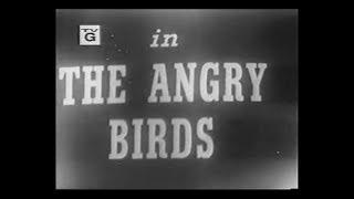 Lights Out TV Series: The Angry Birds