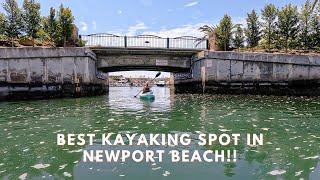 Newport Back Bay - One of the Best Kayaking Spots in Newport Beach, CA