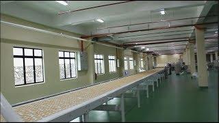 Biscuit Production Factory