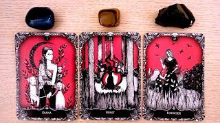 WHAT Is Their MESSAGE To You?WHAT Do They WANT YOU To KNOW?  PICK A CARD Timeless Love Tarot