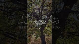 #sarımehmetli #kayseri #nature #dua #kuran #namaz