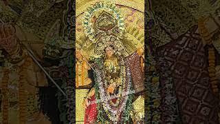 Devi Maa Durga Darshan Status #maa #viralvideo #durga #durgapuja