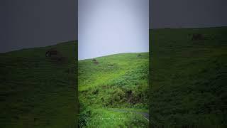Gavi | Elephant | KSRTC | Pathanamthitta | Video 2
