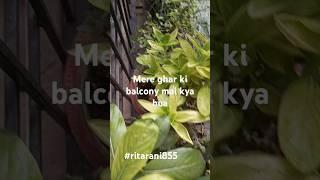 balcony mai ye kya hua