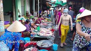 Vietnam || Exploring Mekong Delta