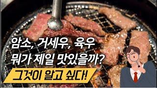 암소와 거세우 맛의 차이는? 소고기의 종류 알아봅니다!