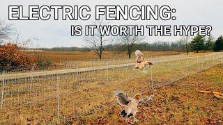 Electric Fence Netting, Not On This Homestead