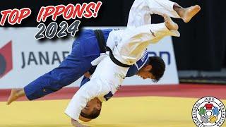 TOP JUDO IPPONS 2024 - LIGHT WEIGHTS