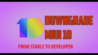 how to change MIUI 10 from stable to developer