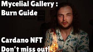 A CNFT project you can't miss: Mycelial Galley Burn Guide! | Cardano NFT Guide!