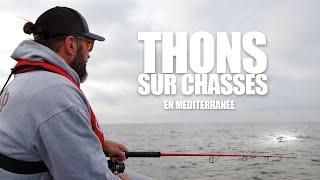 Pêche du thon sur chasses en Méditerranée