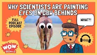 Why Scientists are Painting Eyes on Cow Behinds | Wow in the World | Kids Podcast | Science for Kids