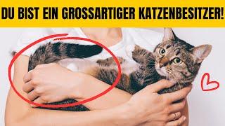 6 ANZEICHEN, DASS DU EIN GROSSARTIGER KATZENVATER ODER EINE GROSSARTIGE KATZENMUTTER BIST! 