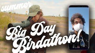 eBird + Audubon Big Day!  | Bear Creek, The Arsenal, Tucker Gulch, First Creek  |  Lets Go Birding