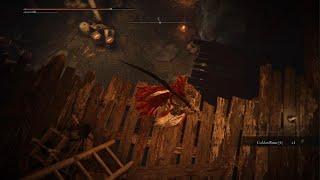ELDEN RING WHAT IS HAPPENING?!?!