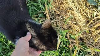 Башкортостан. Вот и лето пришло