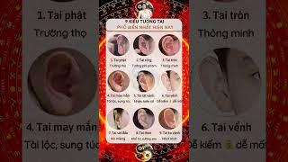 Luận giải tử vi, kiến thức phong thủy, bát tự ngũ hành|Tinh Hoa Triết Lý Phương Đông #shorts#xuhuong