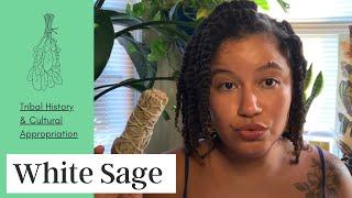 WHITE SAGE |  | Tribal History & Cultural Appropriation