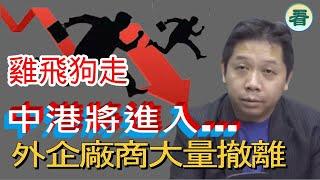 羅家聰博士：雞飛狗走！傳侵加60%關稅，外企廠商大量撤離大陸；人仔大貶值，中港將進入......