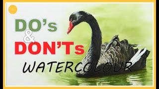 ⭐WATERCOLOUR Do's and Don'ts | Painting swan feathers and reflections in water (2021)