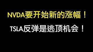 NVDA147.4收盘会发生转折，开始新的涨幅；TSLA反弹到450或者最高466就是逃顶机会；AMD中长期持有就适合买入；MSTR没跌破317就能继续涨，反之看到280