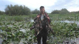 SUPER OPENING OF DUCK HUNTING!!!!!! HUNTING IN THE SWAMP!!!!JELLY FROM WILD DUCK!!!